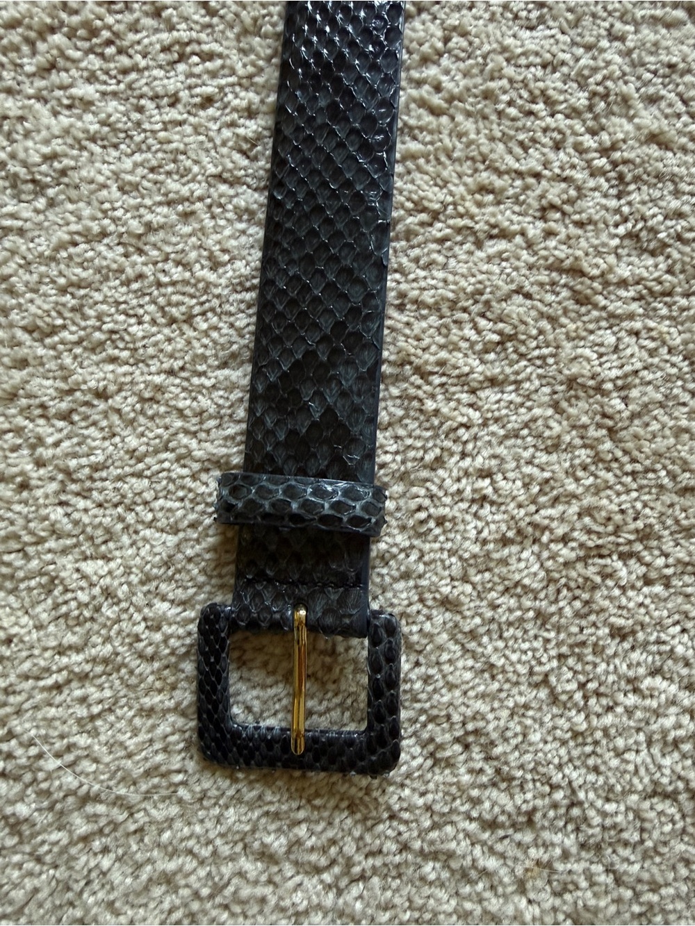 W. Kleinberg Black Textured Snakeskin-Style Belt with Gold Buckle Genuine Python